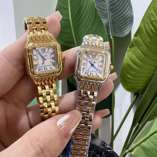 Astarz&co casico scottie