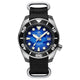 Black NATO band