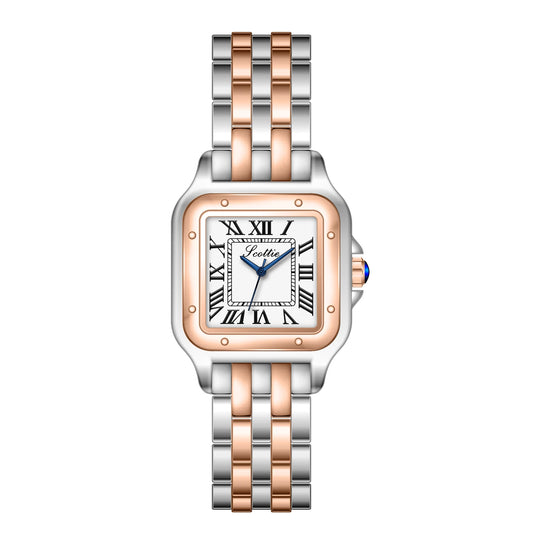 Astarz&co casico scottie